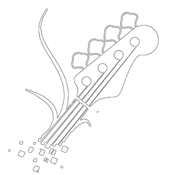 Tout Pour Le Bassiste